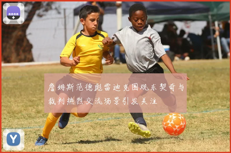 詹姆斯范德彪雷迪克围观东契奇与裁判热烈交流场景引发关注
