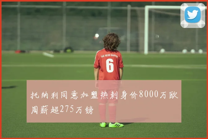 托纳利同意加盟热刺身价8000万欧周薪超275万镑